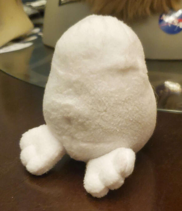 a Bean with Feet